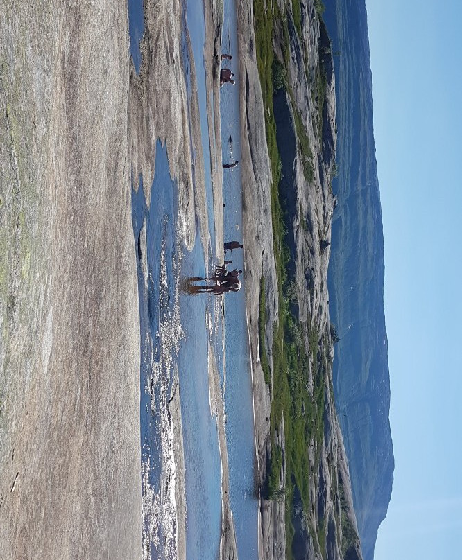 Tortenkøta
