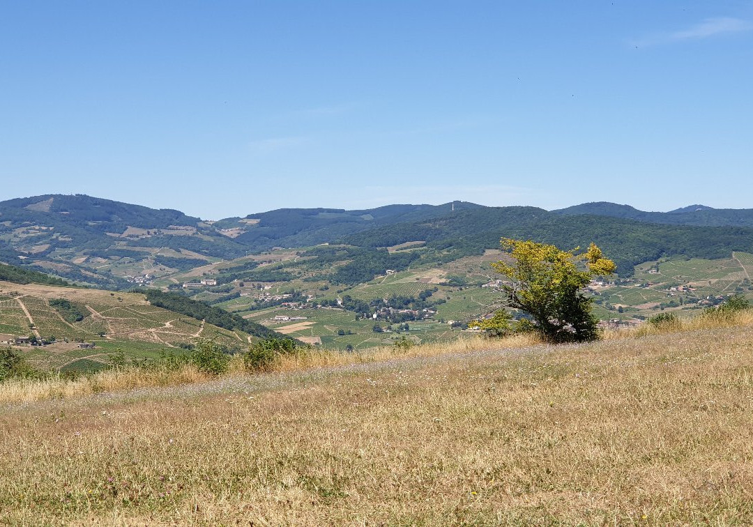 Mont Brouilly景点图片