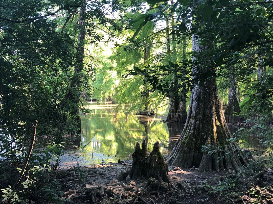 Etang de Boulieu景点图片