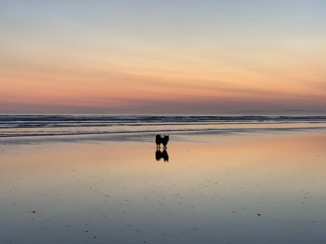 Hotel De La Plage主图