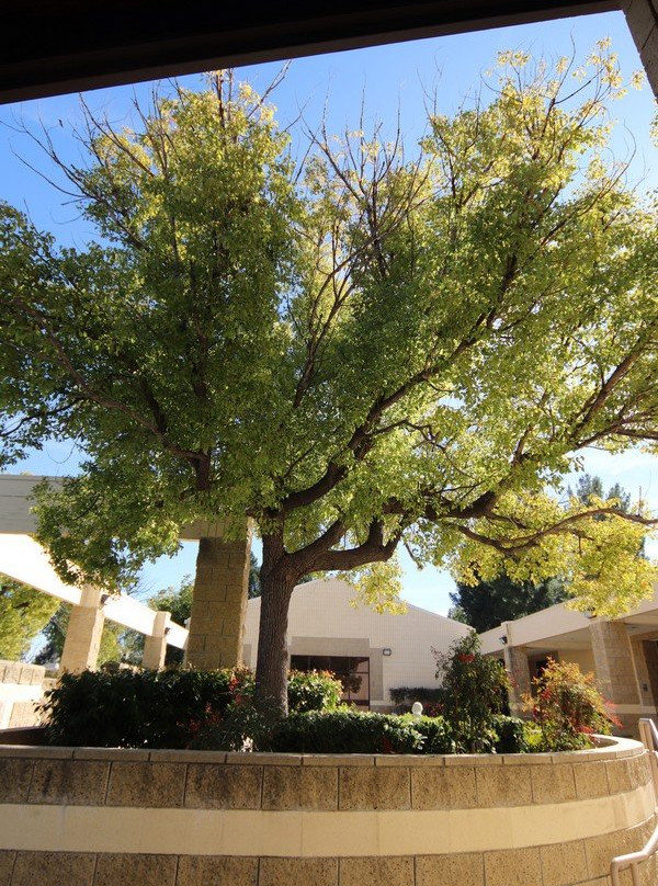 St. Matthew Catholic Church-科罗纳必去景点