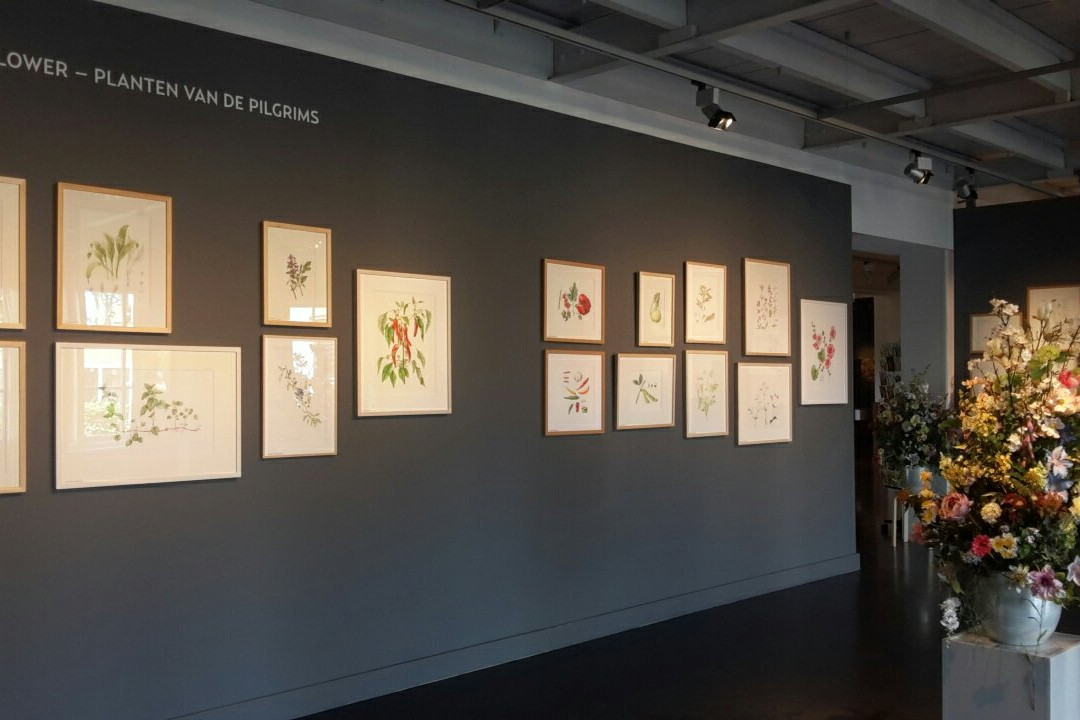 Museum de Zwarte Tulp-利塞必去景点