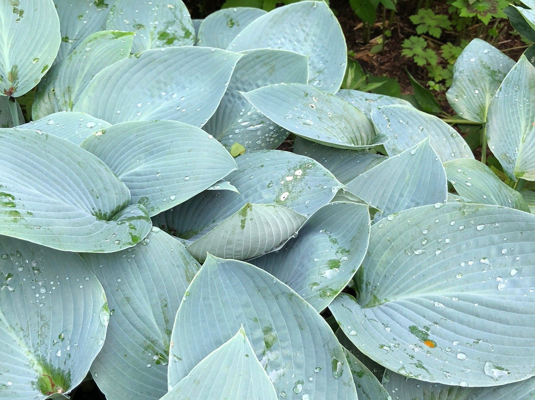 Ikoro no Mori-苫小牧市必去景点