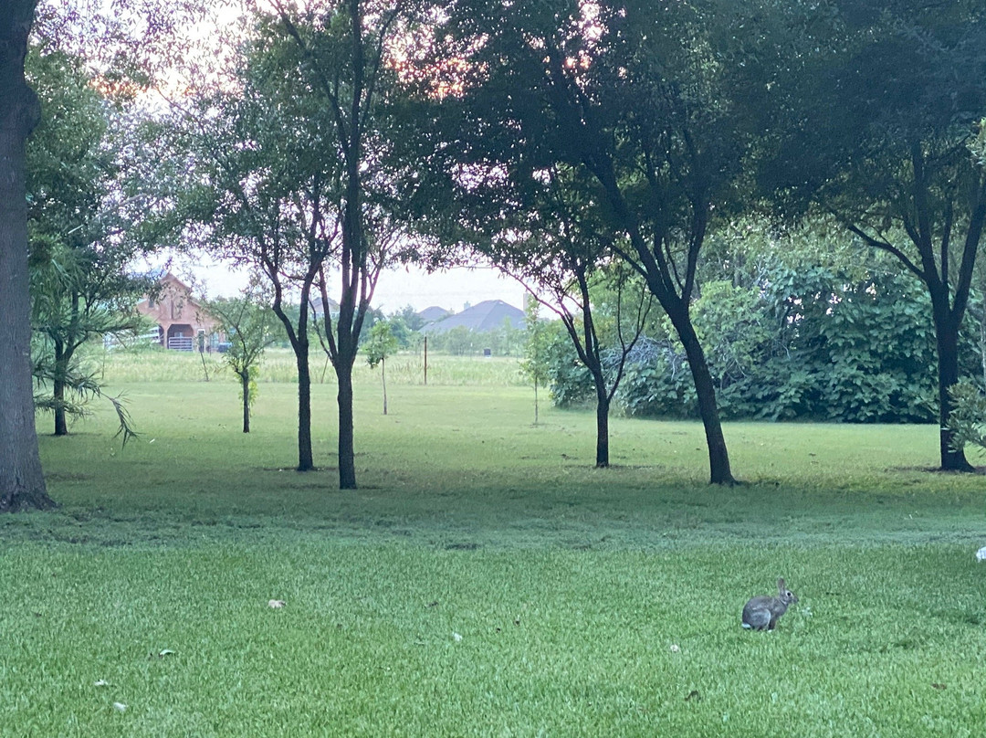 The Plantation House Boutique Inn主图