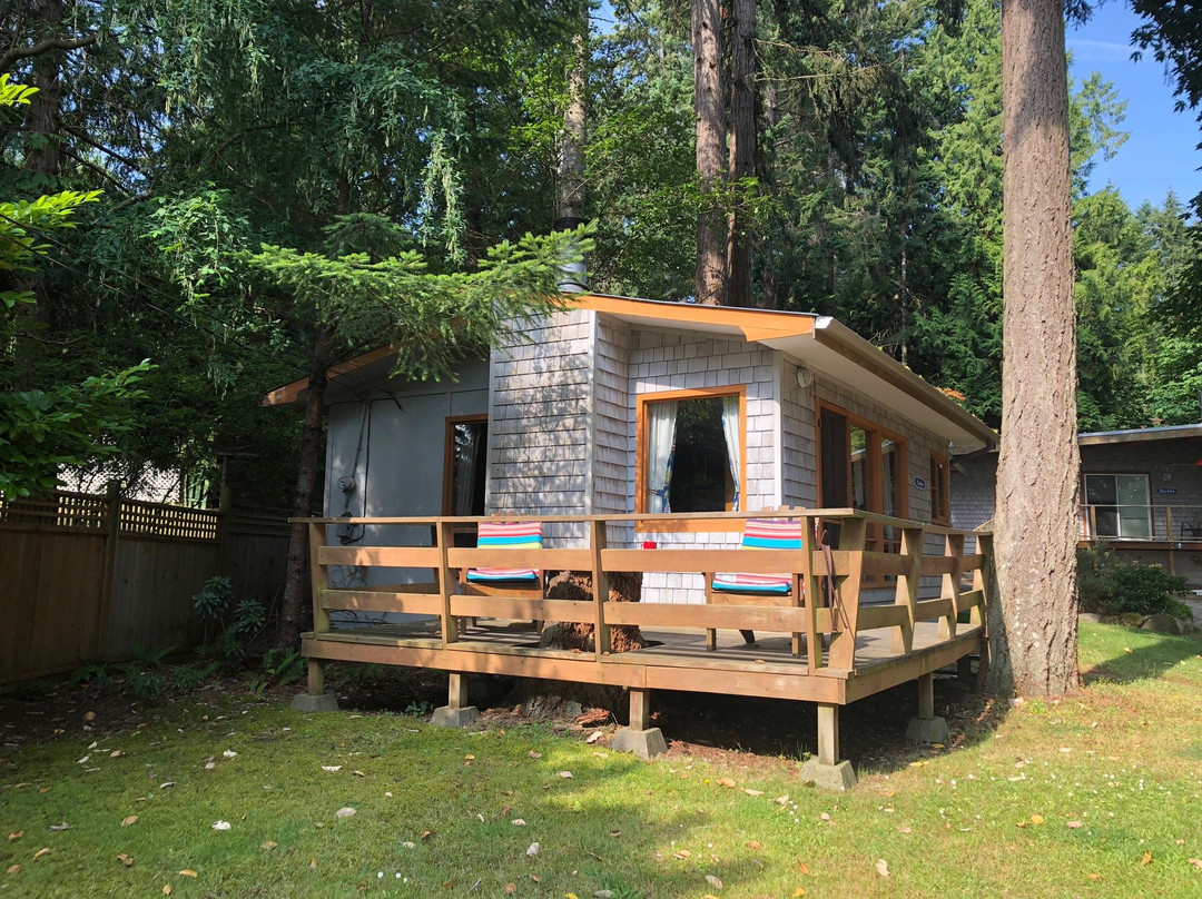 Blue Vista Resort主图