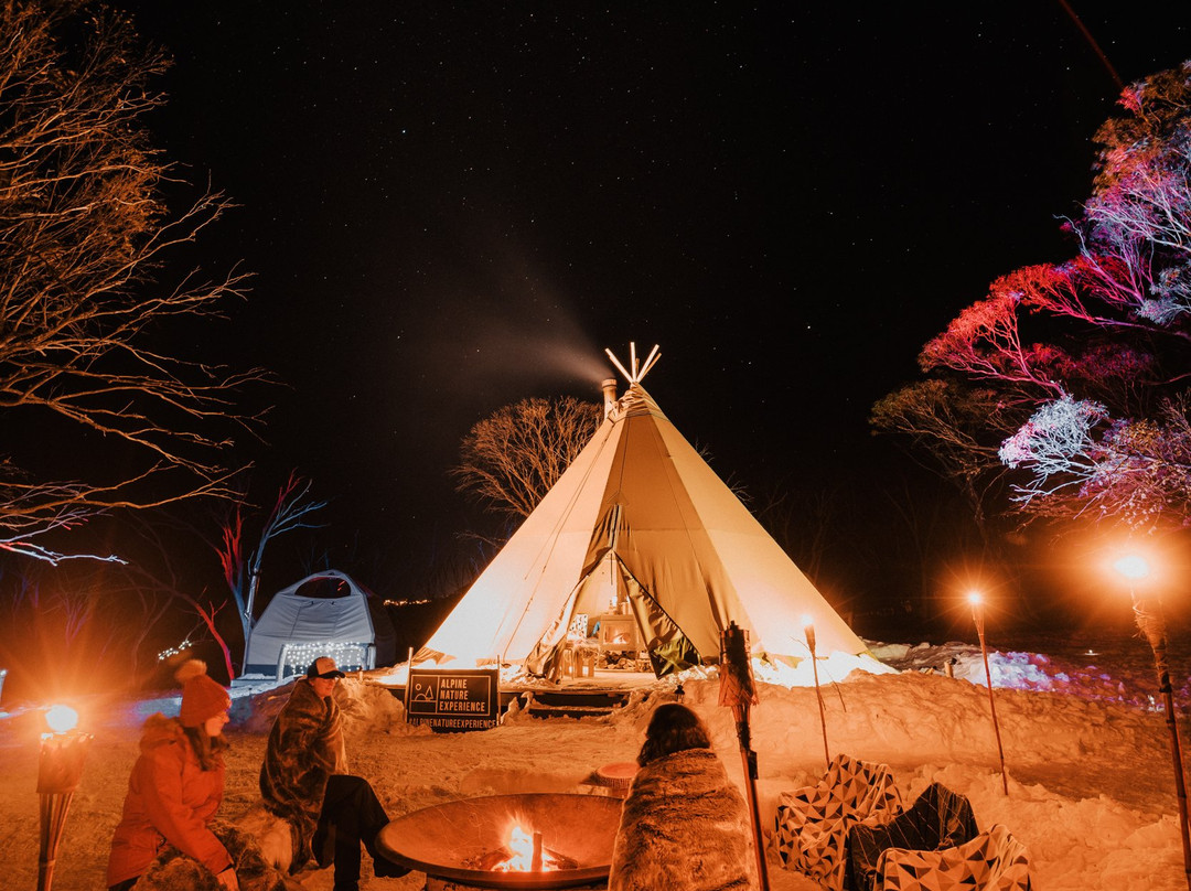 Alpine Nature Experience-Mount Hotham必去景点