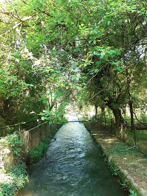 Bosco Wwf di Vanzago景点图片