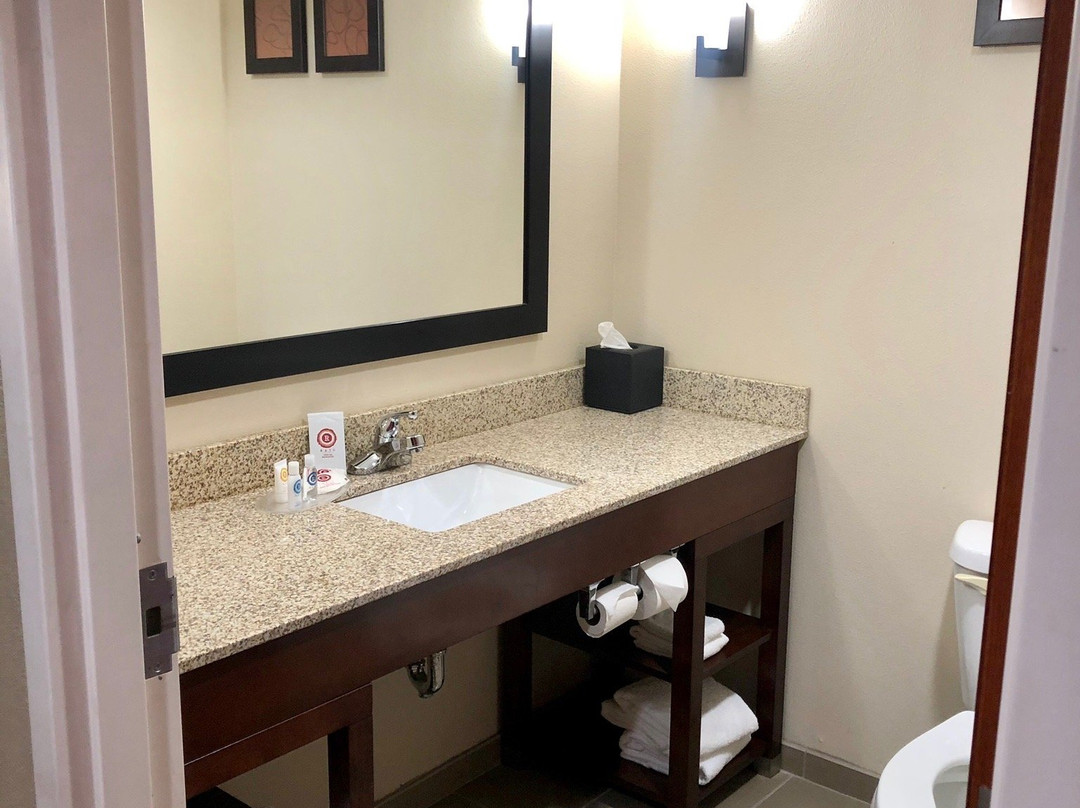 曼彻斯特康福特套房酒店主图