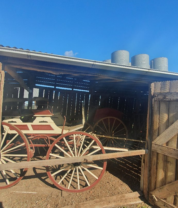 Tocal Homestead景点图片