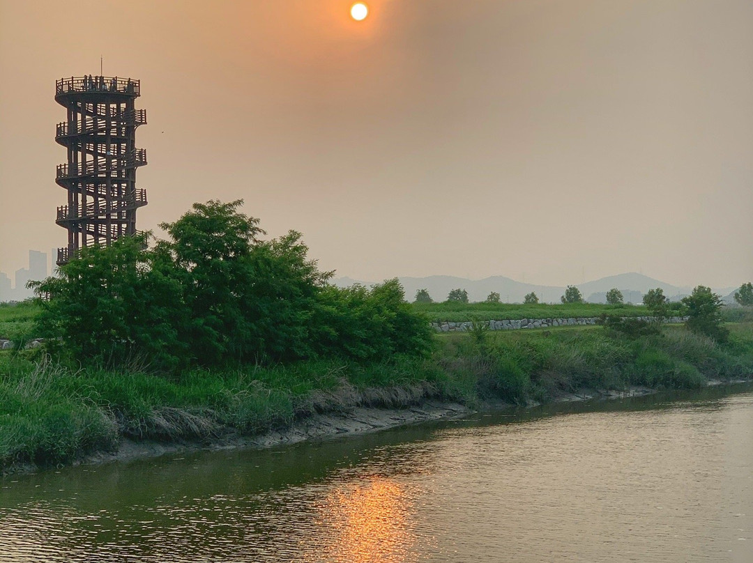 Gaetgol Eco Park-始兴市必去景点