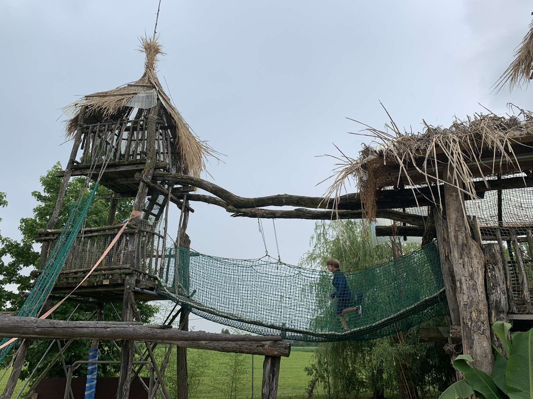 Mini ZOO Land景点图片