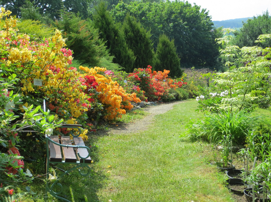 Golubieński Botanical Garden景点图片