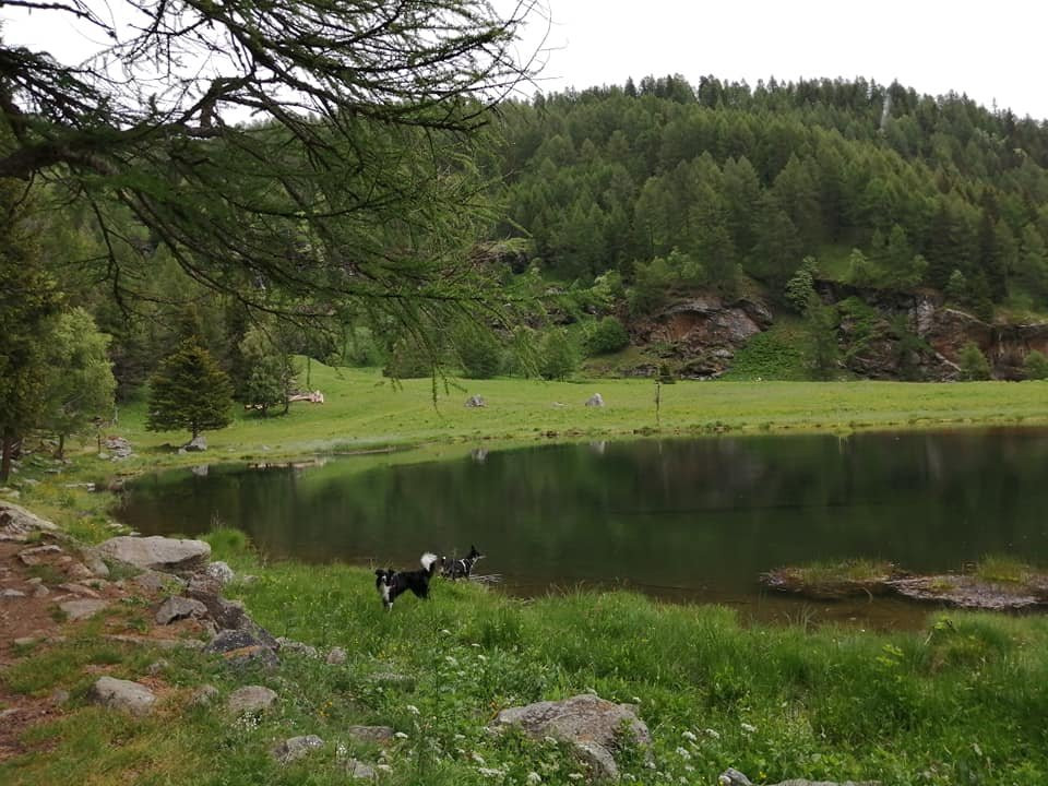 Lago Covel景点图片