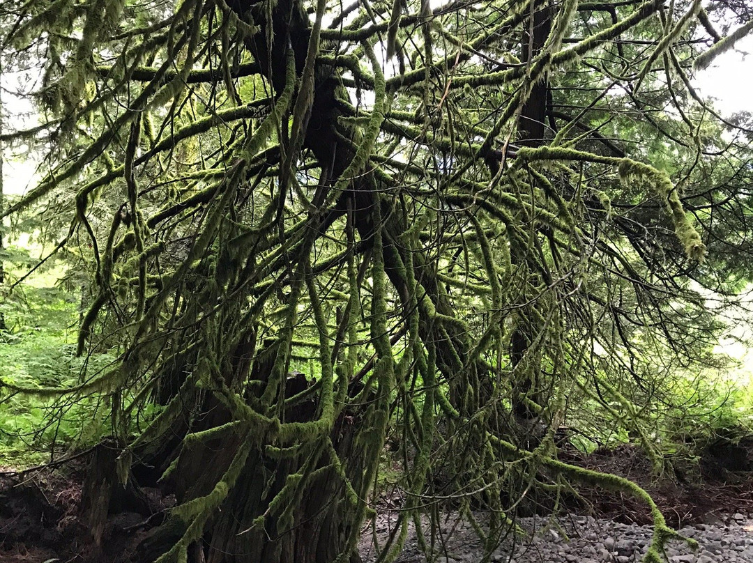 Flood Falls-霍普必去景点