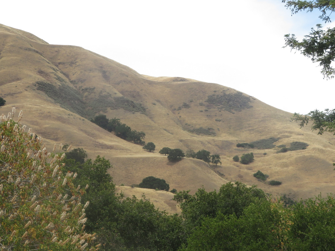 Alum Rock Park-圣何塞必去景点
