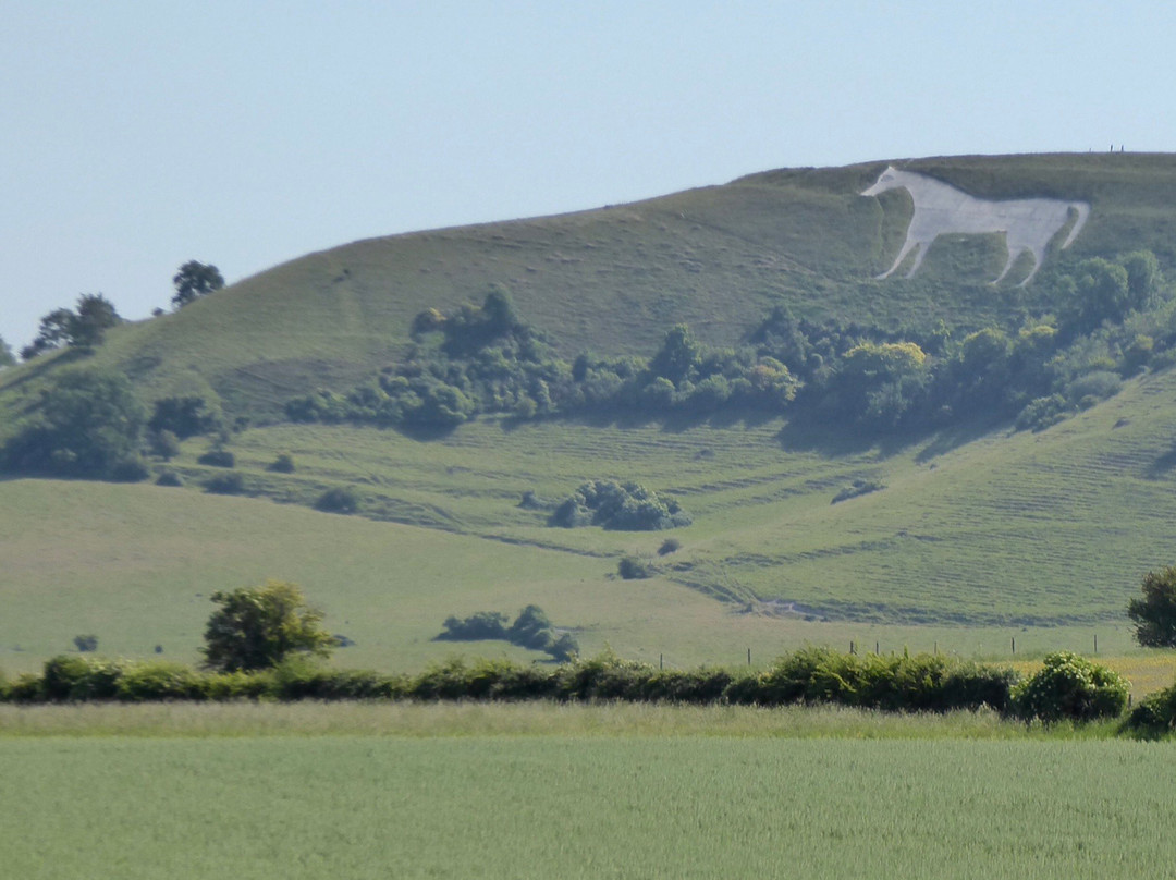 Westbury White Horse景点图片