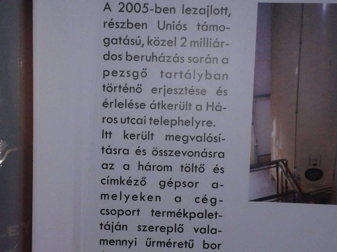 Torley Pezsgopinceszet景点图片