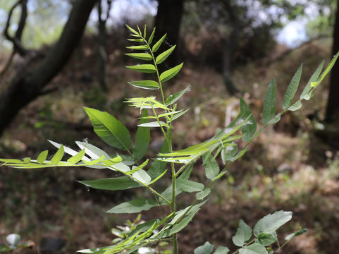 Bannister Park-Fair Oaks必去景点