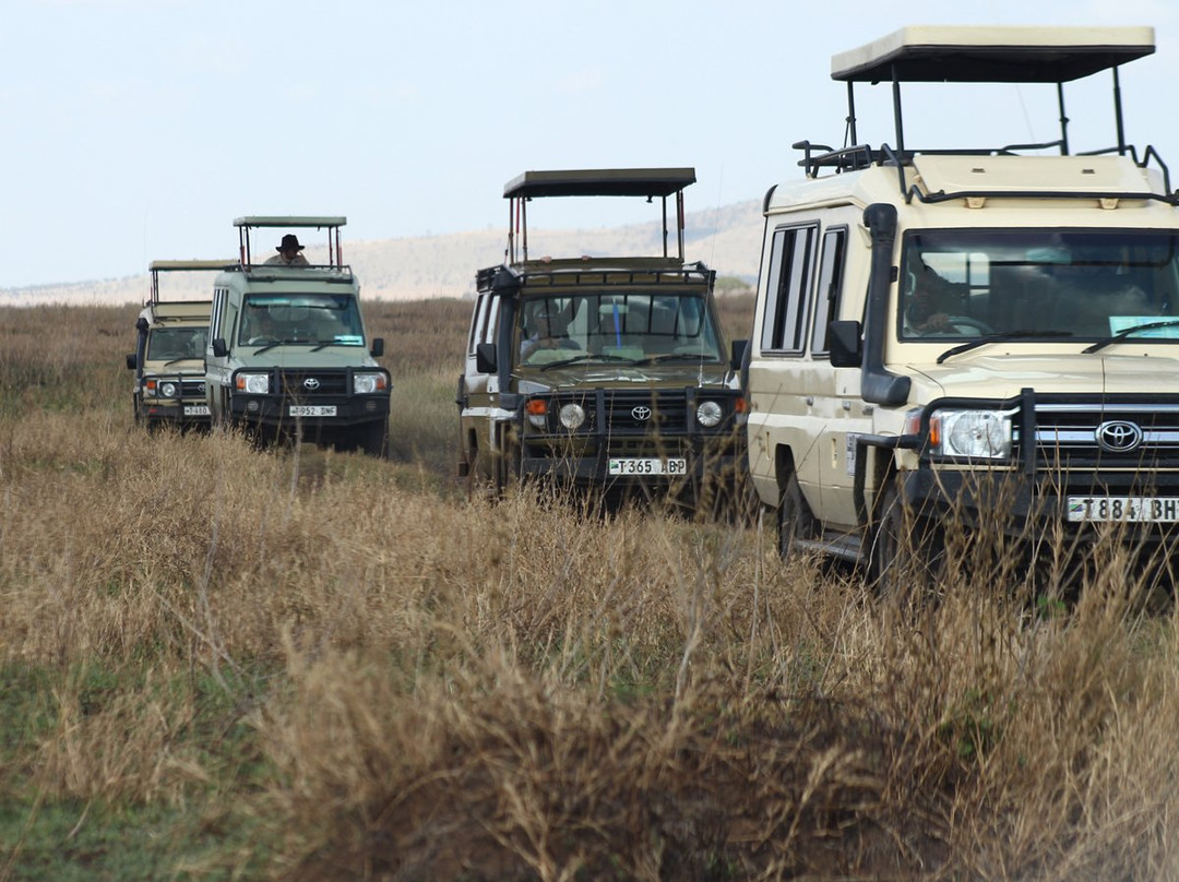 Exposed Africa-莫西必去景点