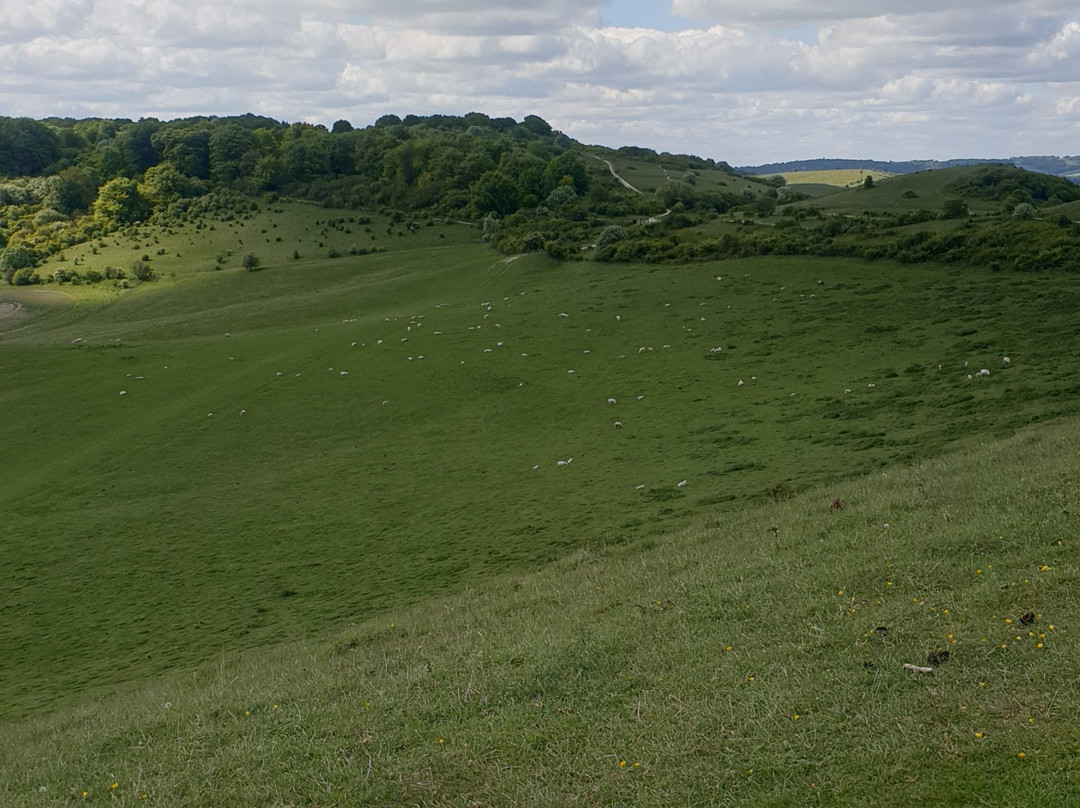 Ivinghoe Beacon景点图片