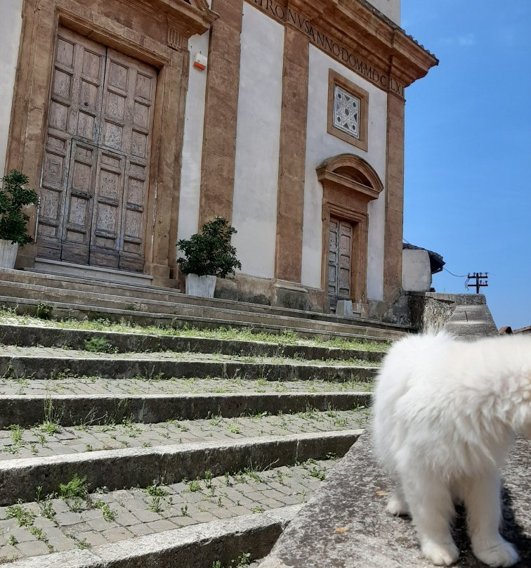 Chiesa di Santa Croce景点图片