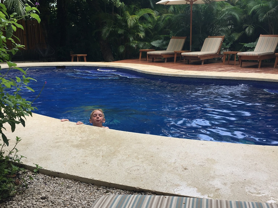 The Sunset Shack主图