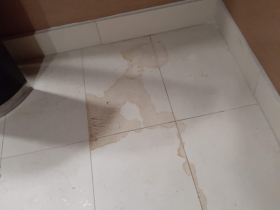 Best Western Plus Vancouver Mall Dr Hotel & Suites主图