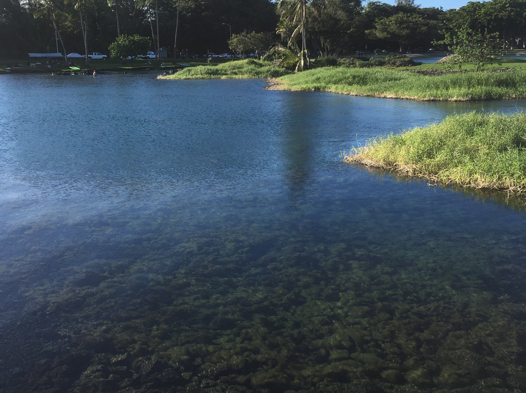 Reeds Bay Beach Park-希洛必去景点