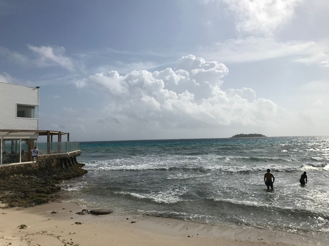 Decameron Maryland主图