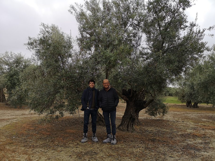 Oleoturismo Viaje al Mundo del Aceite-Begijar必去景点