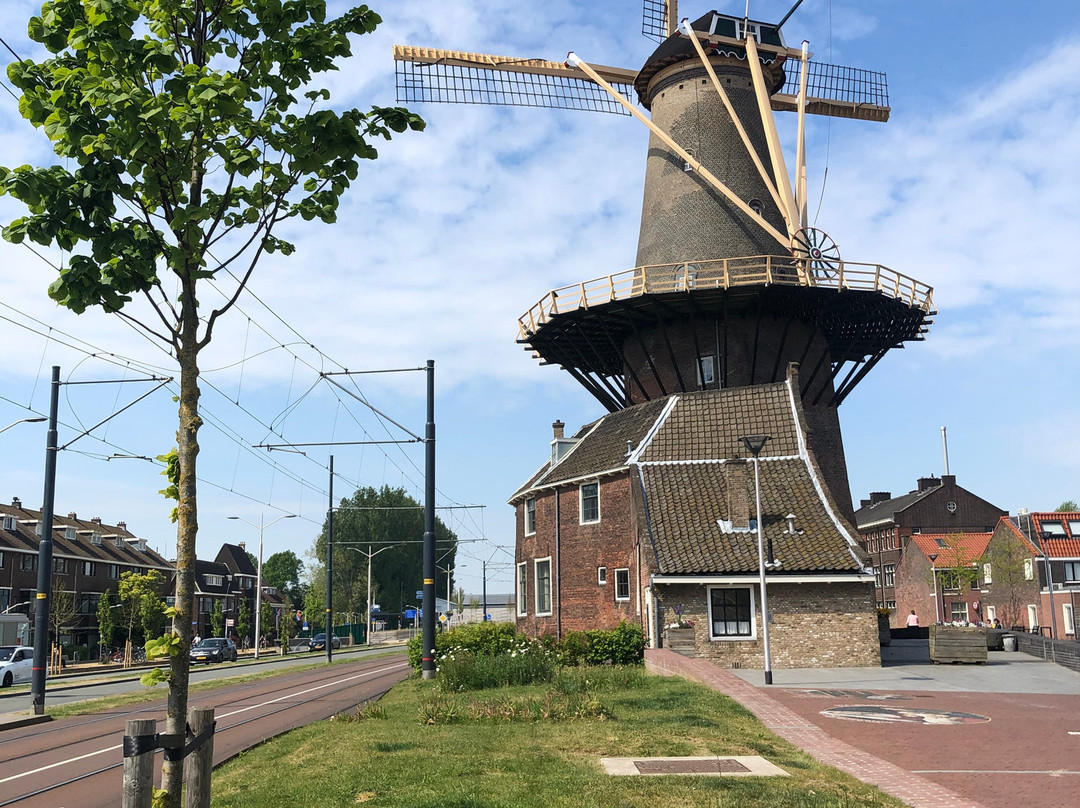Molen De Roos-代尔夫特必去景点