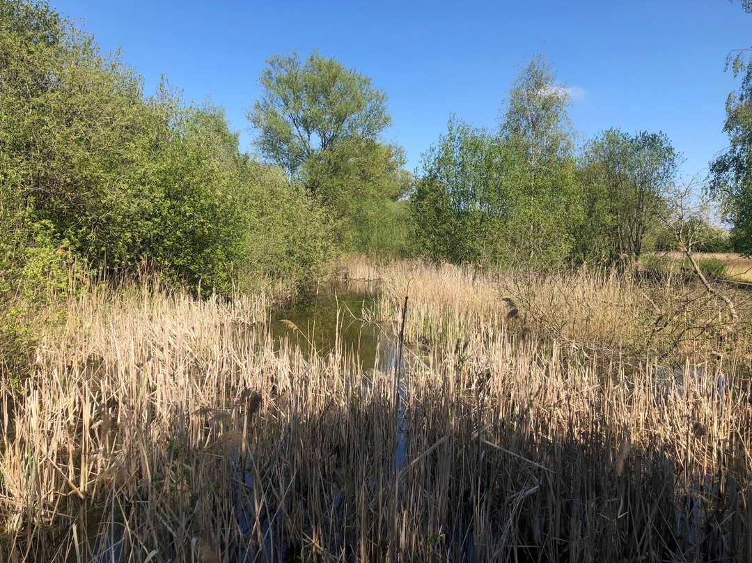 Lattersey Local Nature Reserve景点图片