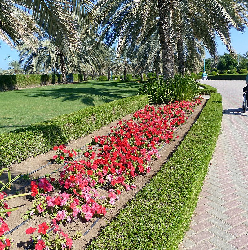 Qurum Natural Park-马斯喀特必去景点