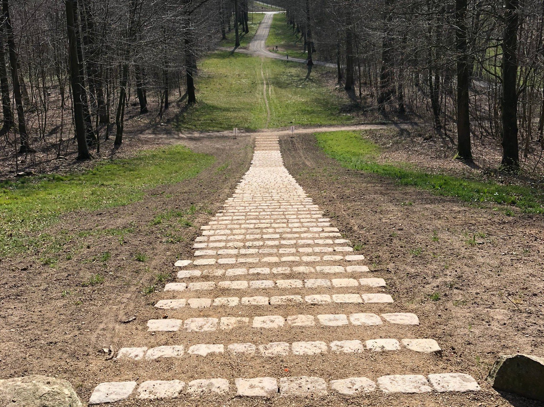 Monumentparken i Skibelund Krat景点图片