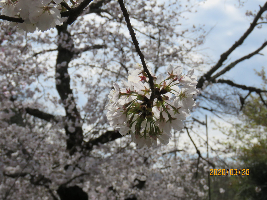 Nagatoromachi Tourist Information Center-长瀞町必去景点