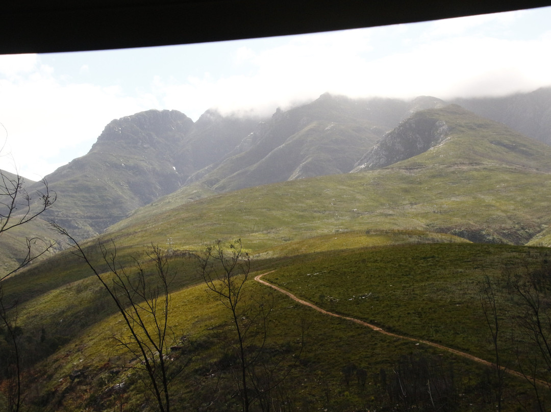 Golden Lion Adventures-Sedgefield必去景点