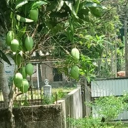 Toursrilankawb-埃勒必去景点