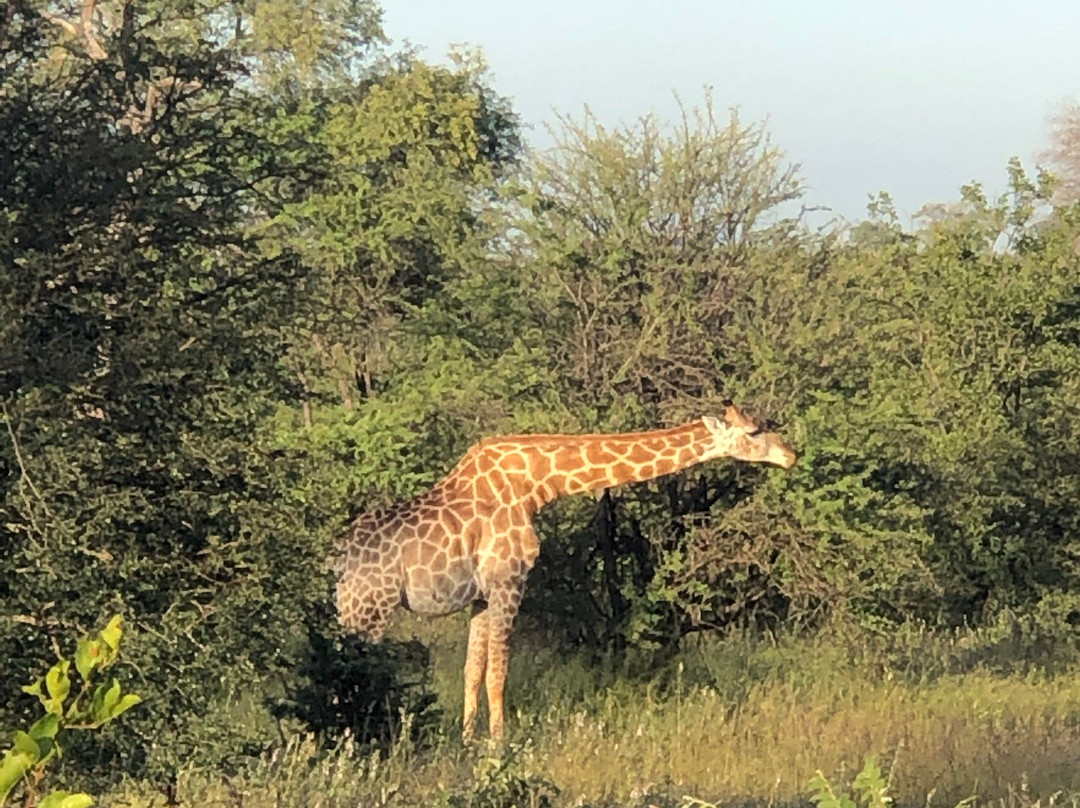 Klaserie Dam-Klaserie Private Game Reserve必去景点