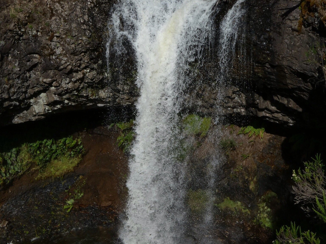 Tarraleah Falls景点图片