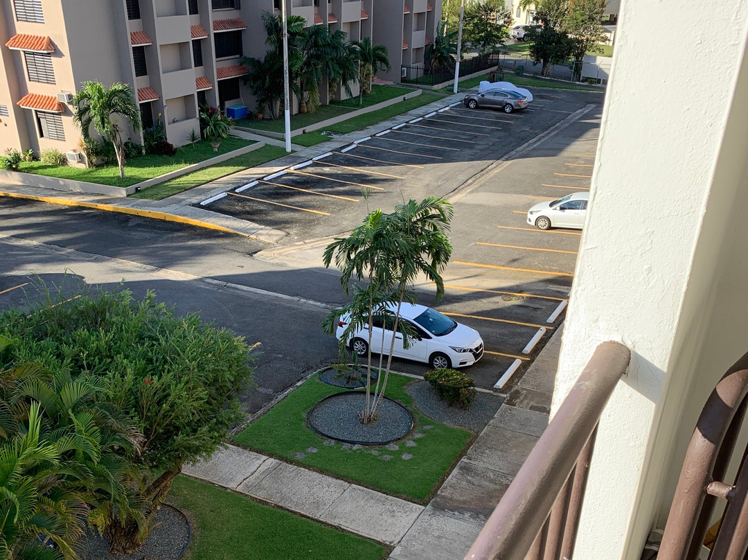 El Malecon de Naguabo-Naguabo必去景点