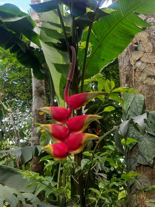 Mirador de Tahuishco-Moyobamba必去景点