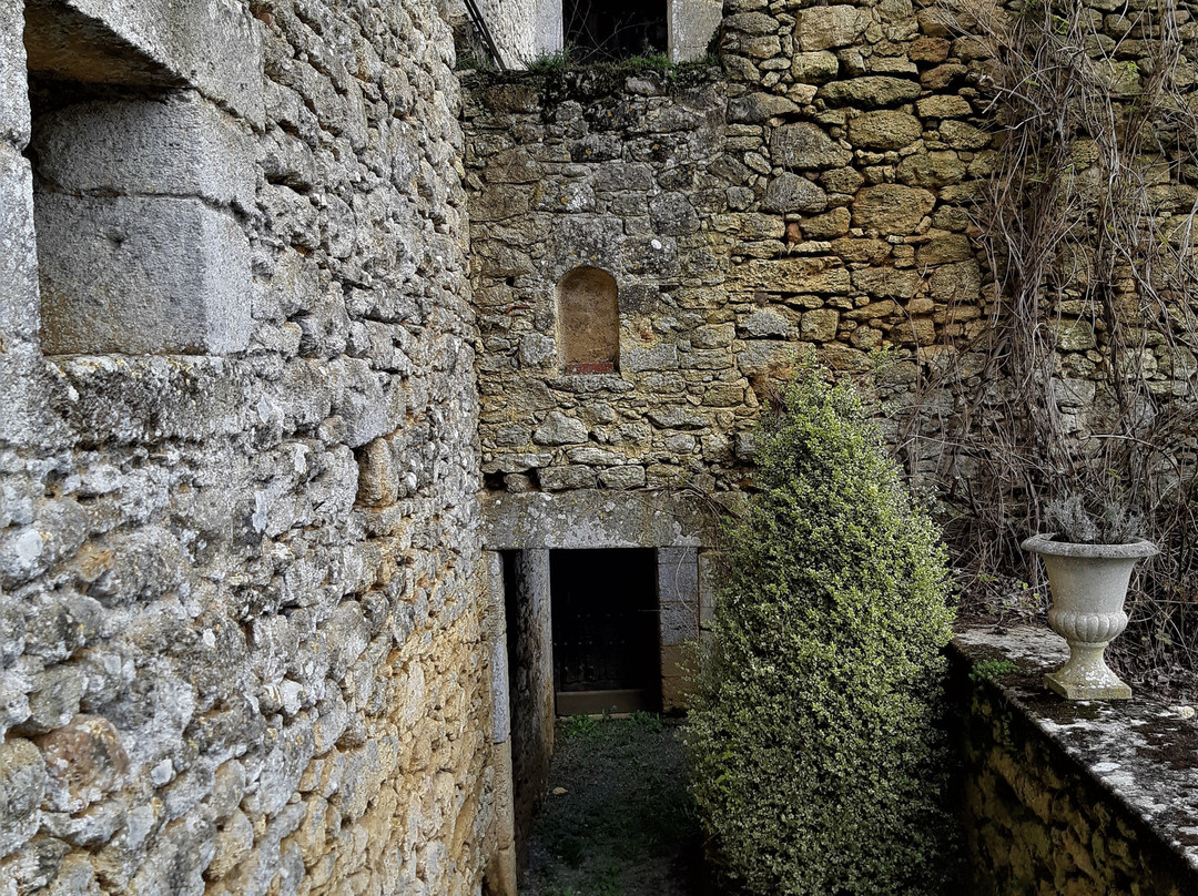 Chateau d'Aubigne景点图片