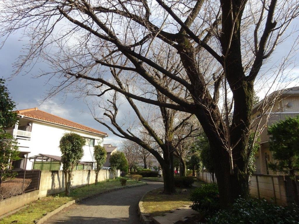 Horiai Yuhodo景点图片