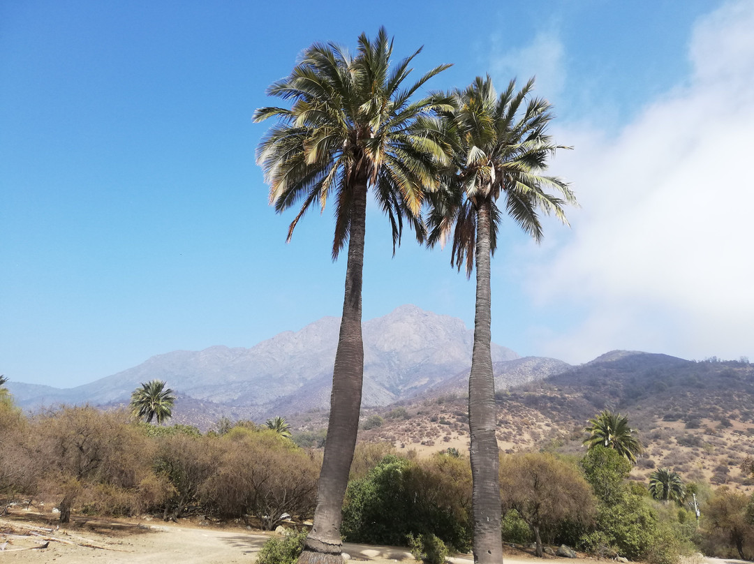 Parque Nacional La Campana-Olmue必去景点