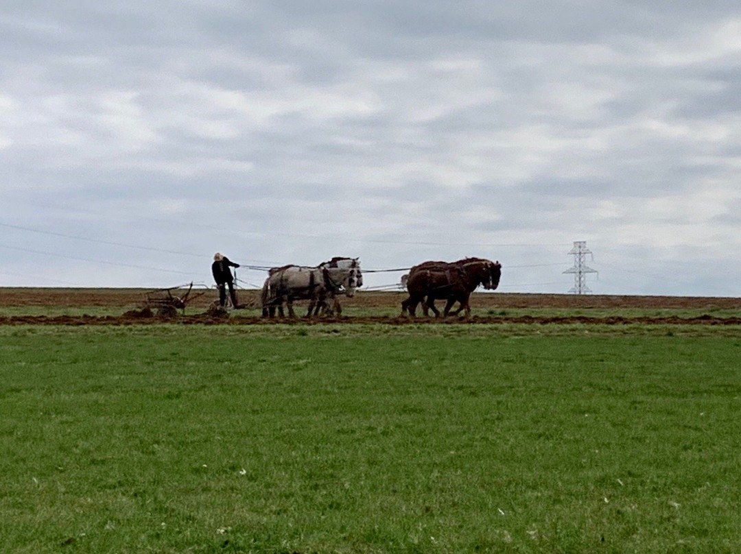 Amish Country景点图片
