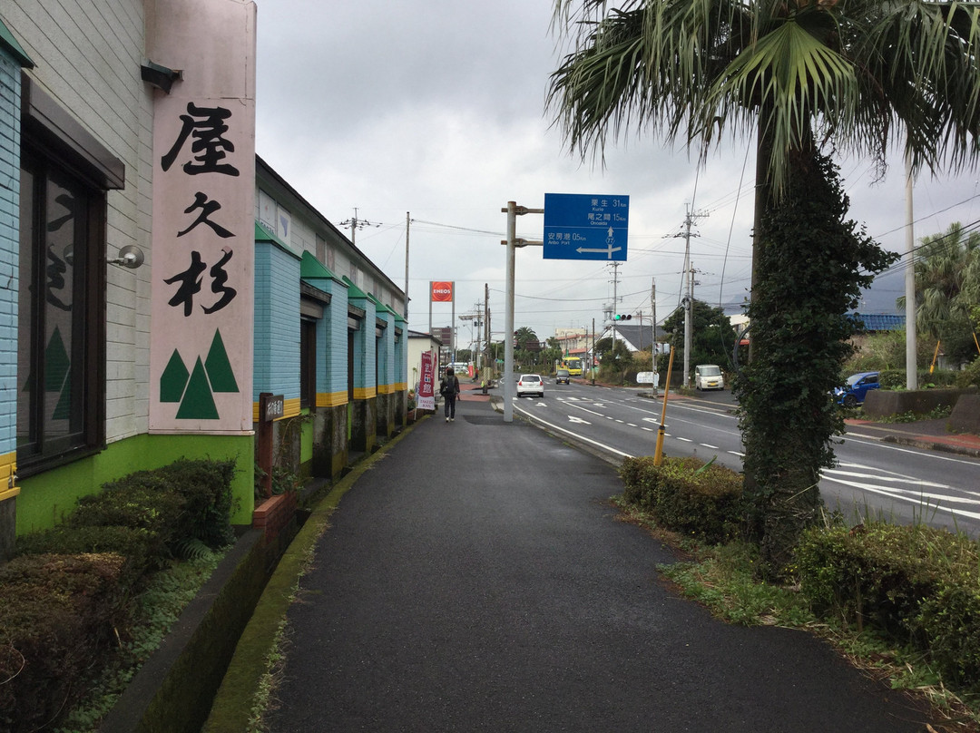 Yakusugi Takeda景点图片