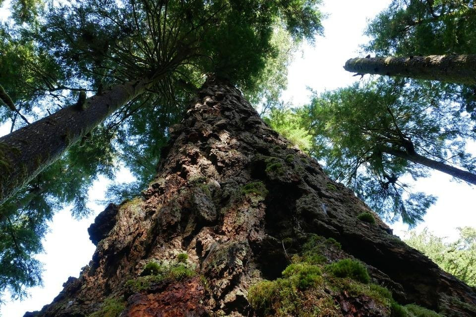 Port Renfrew Adventure Company景点图片