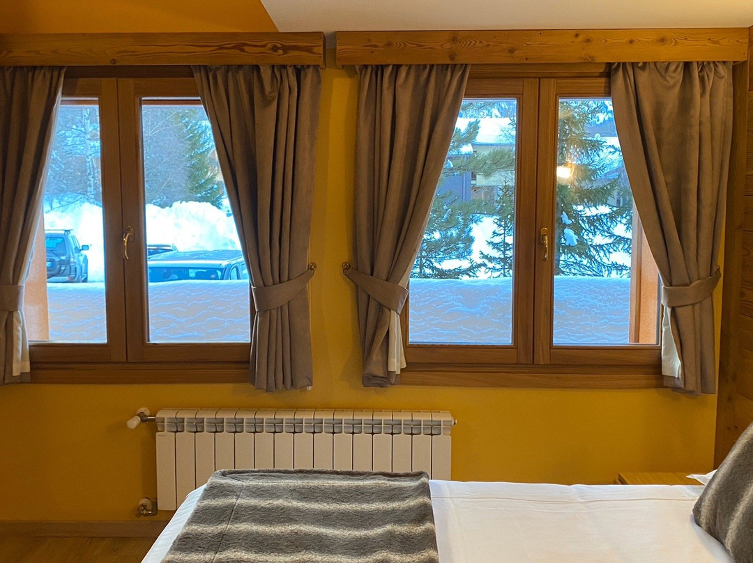 Chalet Alpina Hotel & Apartments主图
