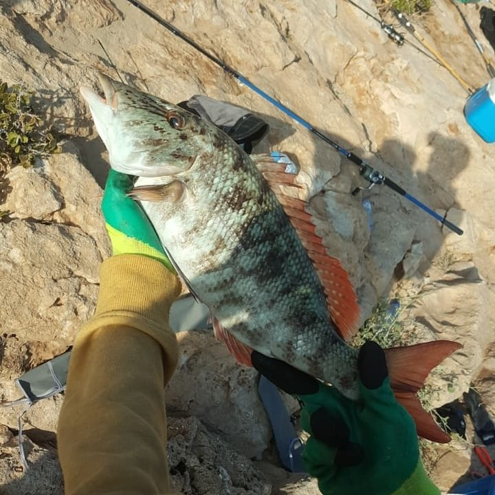 Wadi Shab Resort主图