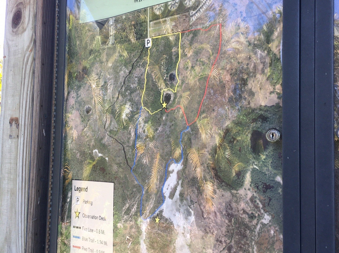 Estero Bay Preserve State Park-迈尔斯堡海滩必去景点